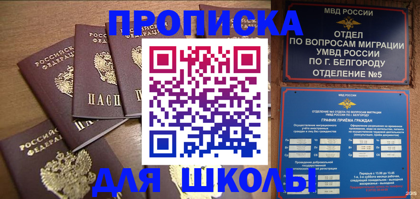 прописка гарантия в Павловске