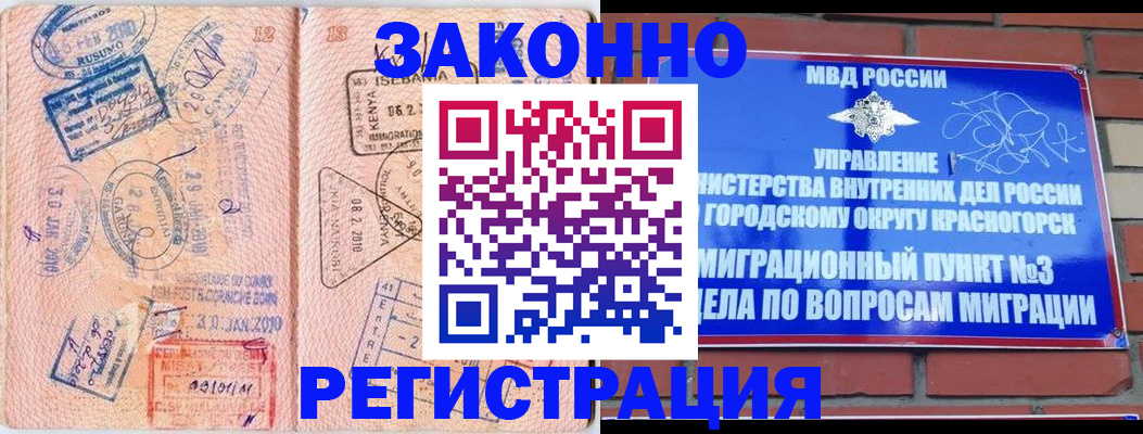 прописка иностранных граждан в Павловске